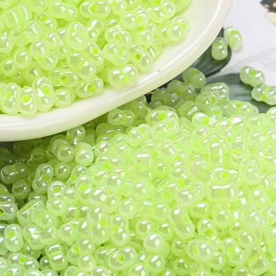 Ceylon Glass Seed Beads