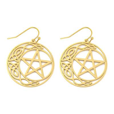 304 Stainless Steel Dangle Earrings for Women