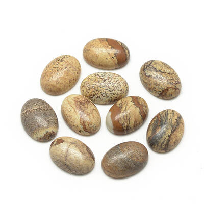 Natural Picture Jasper Cabochons