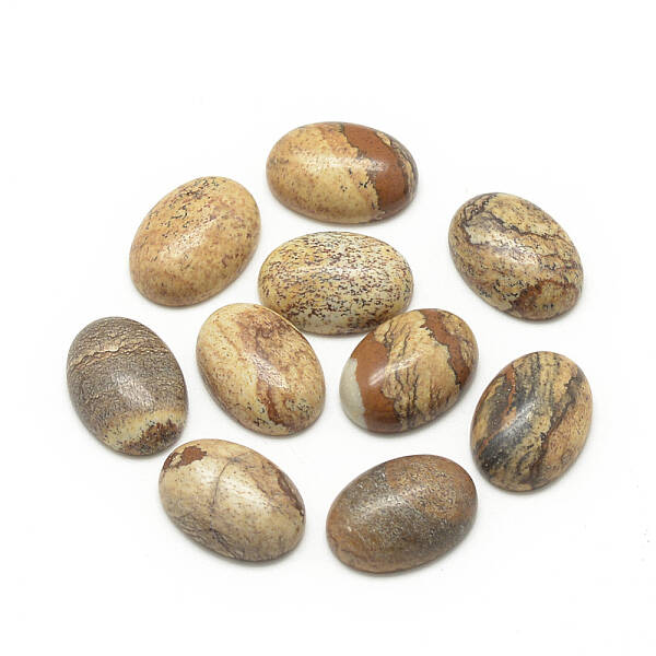 Natural Picture Jasper Cabochons