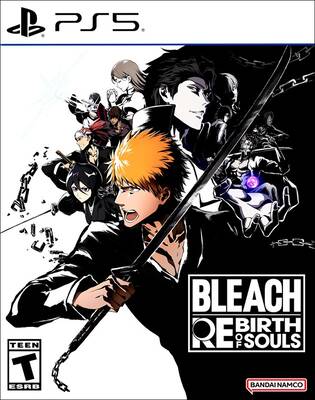 Bleach: Rebirth of Souls