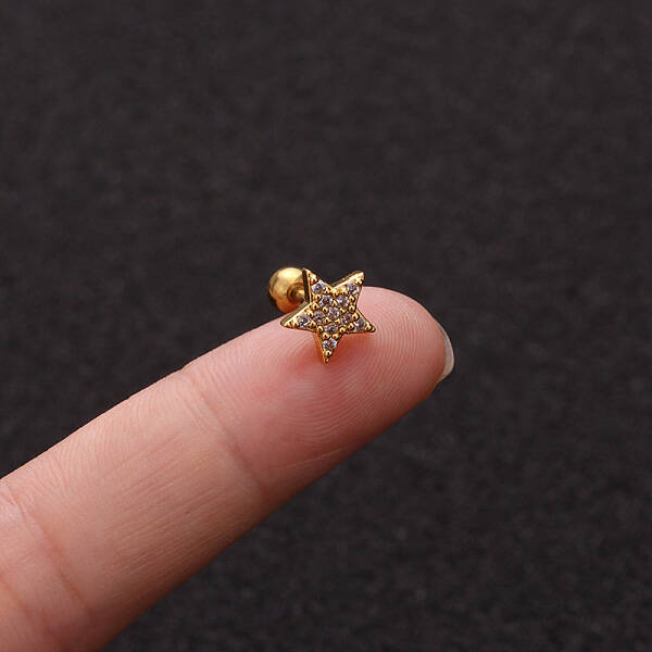 316L Surgical Stainless Steel Micro Pave Clear Cubic Zirconia Star Cartilage Earrings