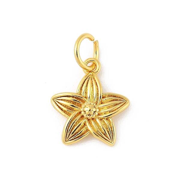 Brass Charms