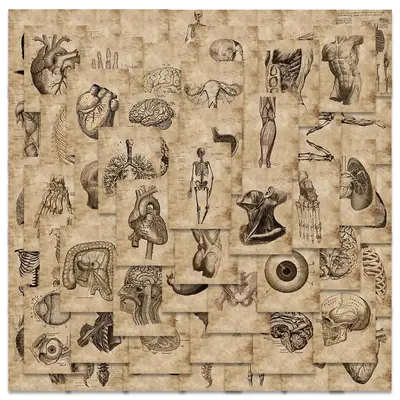 Retro Anatomy Human Skeleton Pattern Graffiti Sticker, Car Body Sticker, DIY Waterproof Decorative Sticker for Car, Bicycle, ...