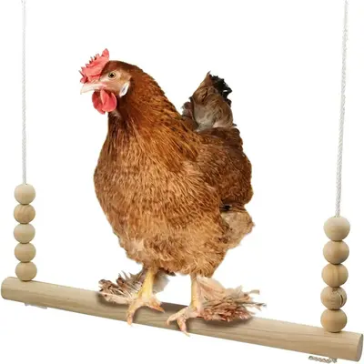 Wooden Chicken Swing Toy, Pet Chicken Swing Toy, Pet Bird Toy, Bird Swing Toy, Pet Supplies, Bird Supplies, Swings & Perches
