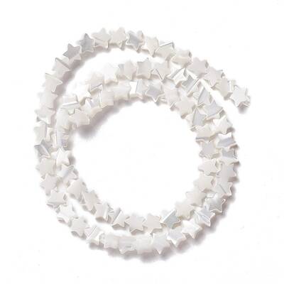 Natural Trochid Shell/Trochus Shell Beads
