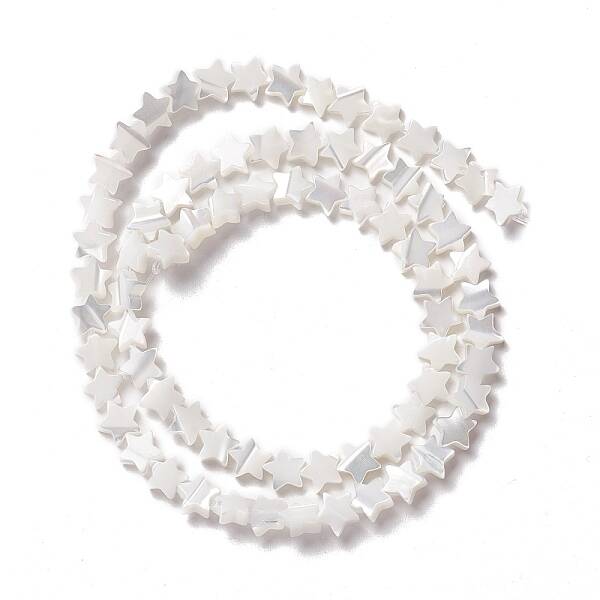 Natural Trochid Shell/Trochus Shell Beads