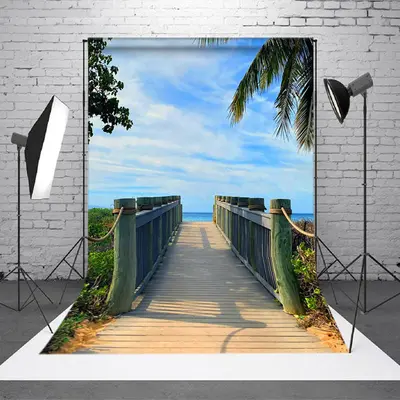 Cozy Blue Sky Wood Bridge Summer Backdrop For Photo - Aperturee