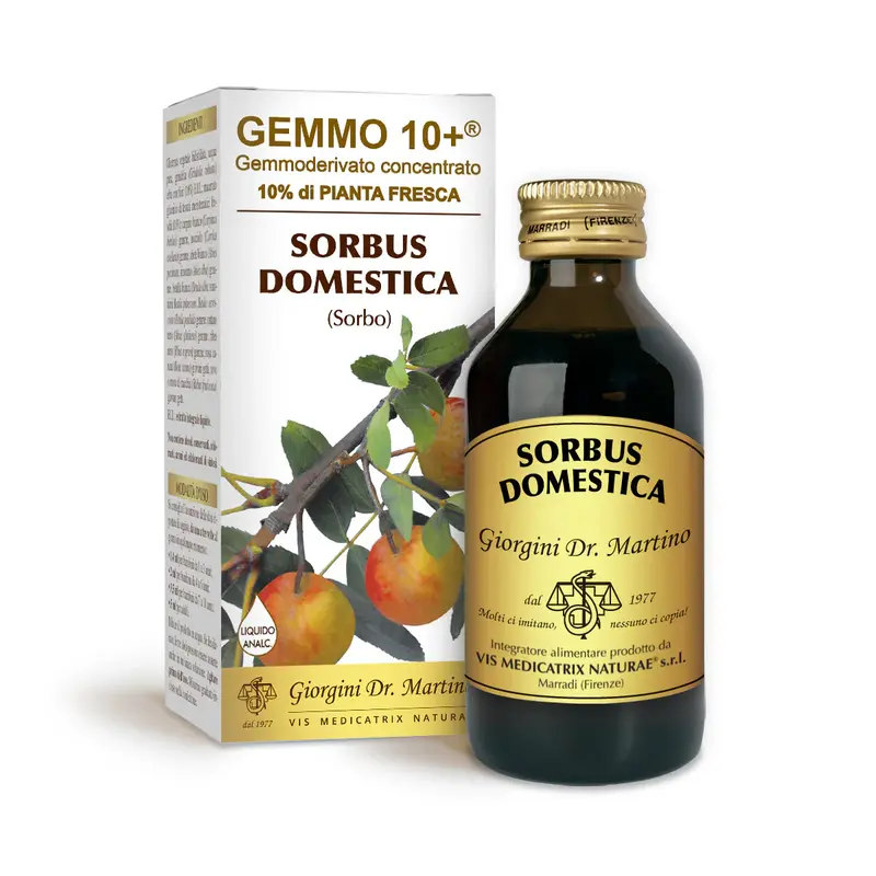 Dr Giorgini gemmo 10+ sorbo 100 ml non-alcoholic liquid