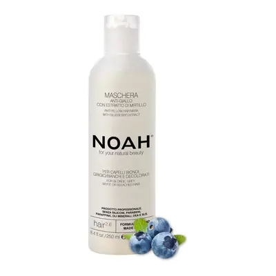 Noah Blueberries Anti-Yellow Hair Mask 250ml
