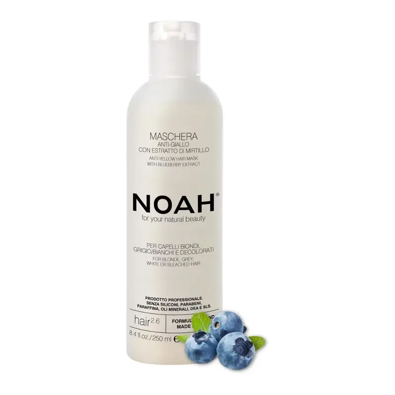 Noah Blueberries Anti-Yellow Hair Mask 250ml