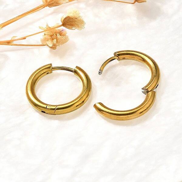 304 Stainless Steel Hoop Earrings for Women