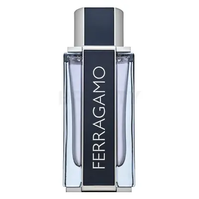 Salvatore Ferragamo Ferragamo EDT M 100 ml