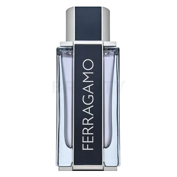 Salvatore Ferragamo Ferragamo EDT M 100 ml