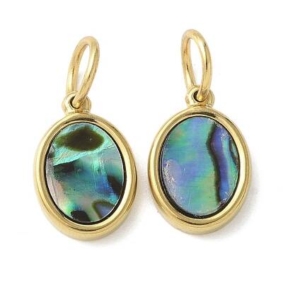 304 Stainless Steel Natural Paua Shell/White Shell Charms