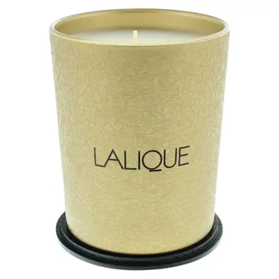 Lalique Le Desert Muscat Oman candela profumata 190 g