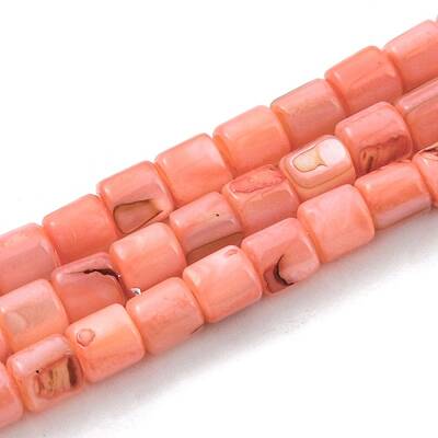 Natural Freshwater Shell Beads Strands