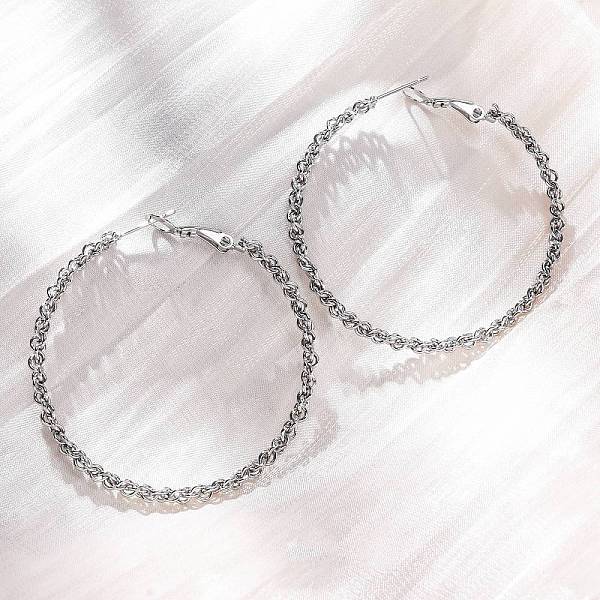 304 Stainless Steel Hoop Earrings
