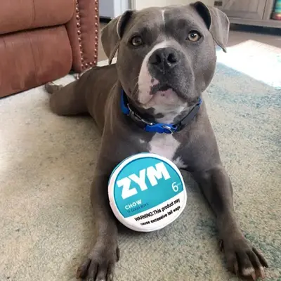 Dog Squeak Toy, Pet Chew Toy, Pet Interactive Toy, Pet Plush Toy, Dog & Cat Accessories, Fun Toy for Dogs, Dog & Cat Accessor...