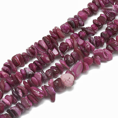 Freshwater Shell Beads Strands