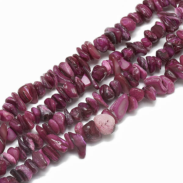 Freshwater Shell Beads Strands