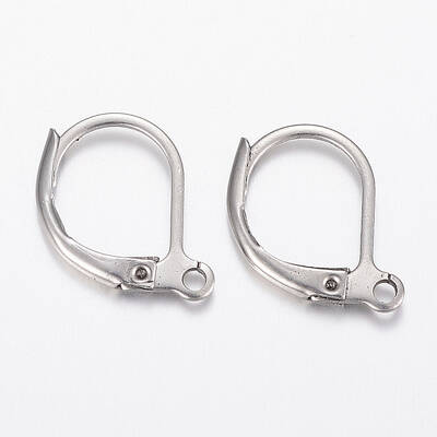 Tarnish Resistant 304 Stainless Steel Leverback Earring Findings