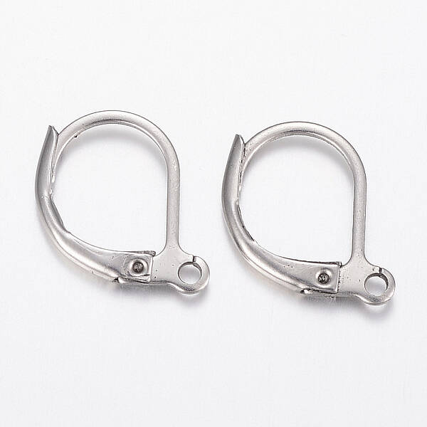 Tarnish Resistant 304 Stainless Steel Leverback Earring Findings