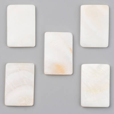 Natural Freshwater Shell Cabochons