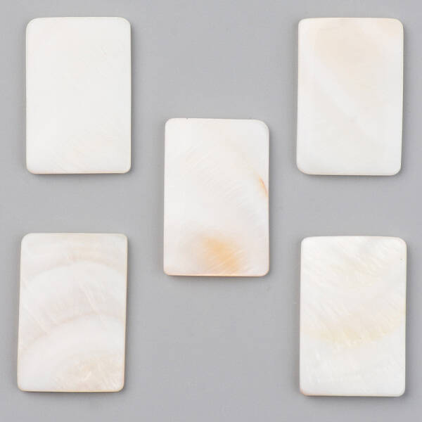 Natural Freshwater Shell Cabochons