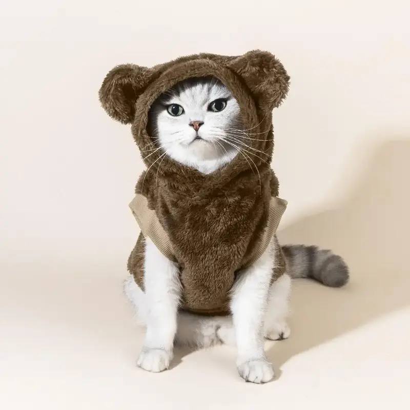 Cartoon Bear Design Pet Plush Sweater, Cute Pet Clothes, Warm Pet Hoodie for Small Dog & Cat