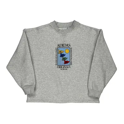 Originals Adidas Graphic Sweatshirt - Medium Grey Cotton Blend