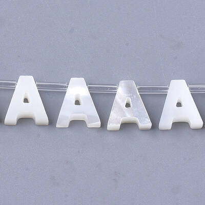 Sea Shell Beads