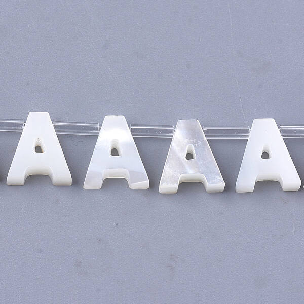 Sea Shell Beads