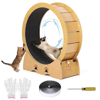 Garvee Quiet Wooden Cat Exercise Wheel - Indoor Cat Treadmill with Removable Carpeted Exercise Wheel - Safe Running & Trainin...