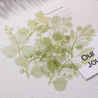 10pcs/pack Leaf Vein Design Sticker, Decorative Stickers for Scrapbooking Journal Stationery Photo Album & Notebooks