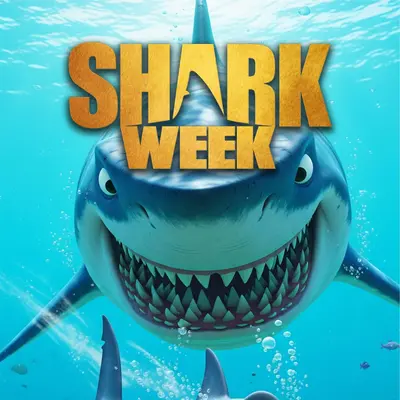 ACBreakz Divisional Breakz Shark Week