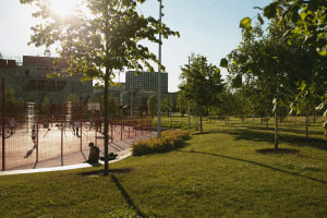 Mastering Public Realm Management