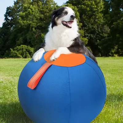 Inflatable Dog Ball Toy, Interactive Dog Toy, Inflatable Dog Ball, Pet Chew Toy, Dog Teething Toy, Dog & Cat Accessories