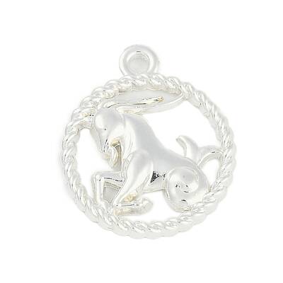 Twelve Constellations Alloy Pendants