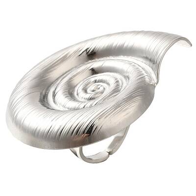 304 Stainless Steel Ring