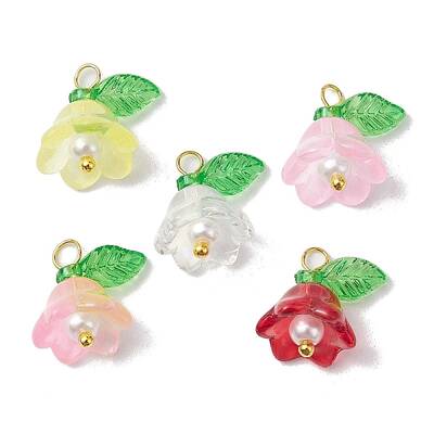 Mixed Color Glass Pearl & Acrylic Charms