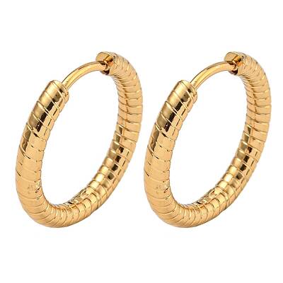 PVD Vacuum Plating 202 Stainless Steel Huggie Hoop Earrings with 304 Stainless Steel Pins for Women