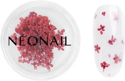 NEONAIL Dried Flowers dry flower for nails color 08 Red