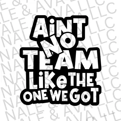 Ain't No Team Like The One We Got Screen Print Transfer