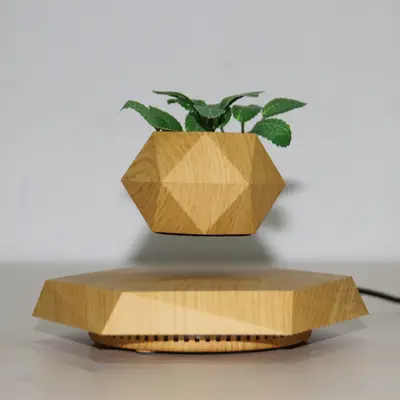 Floating Magnetic Levitating Flower Pot Bonsai Air Plant Pot Planter Potted For Home Office Desk Decor Creative Gift | style:...