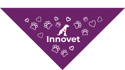 Purple Pet Bandanas - Small