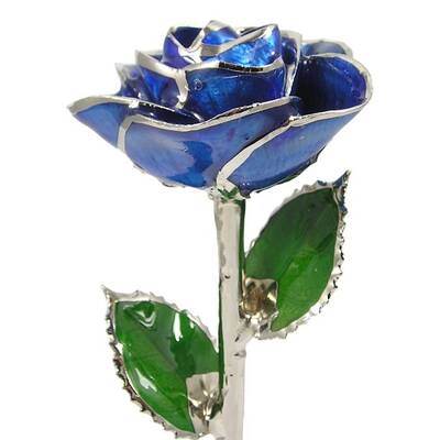 Silver Trimmed Rose: 11 Dark Blue Rose