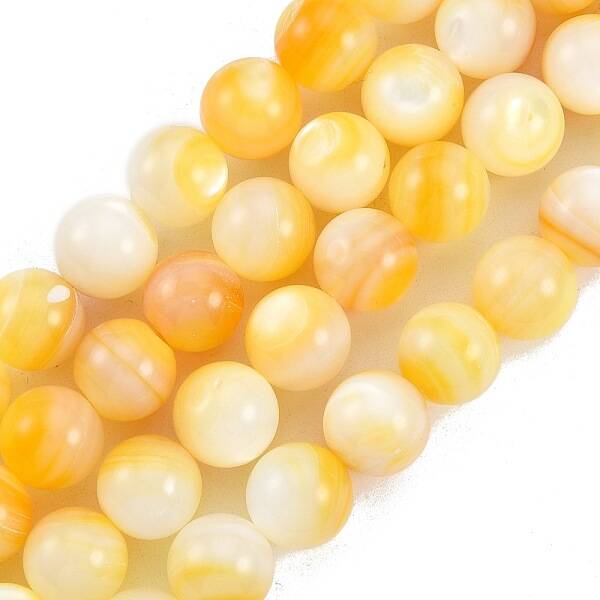 Natural Golden Yellow Shell Beads Strands