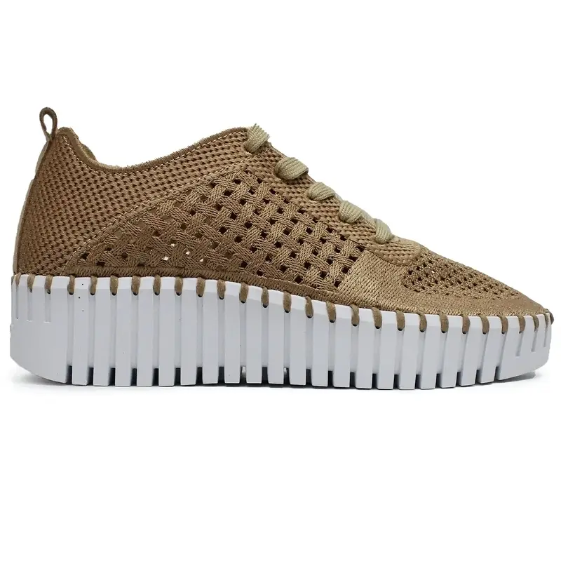 Ilse Jacobsen Tulip 4271 Polyester Women's Lace Up Shoes - Latte White - Size:US 7 Women