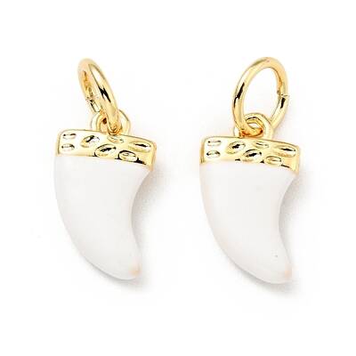 Brass Enamel Charms